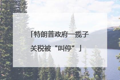 特朗普政府一揽子关税被“叫停”