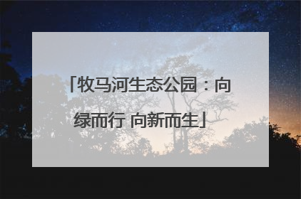 牧马河生态公园：向绿而行 向新而生