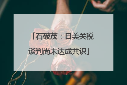 石破茂：日美关税谈判尚未达成共识