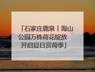 石家庄鹿泉丨海山公园万株荷花绽放 开启夏日赏荷季