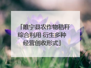 睢宁县农作物秸秆综合利用 衍生多种经营创收形式