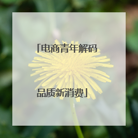 电商青年解码品质新消费