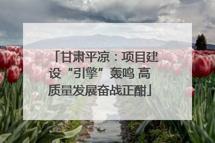 甘肃平凉：项目建设“引擎”轰鸣 高质量发展奋战正酣