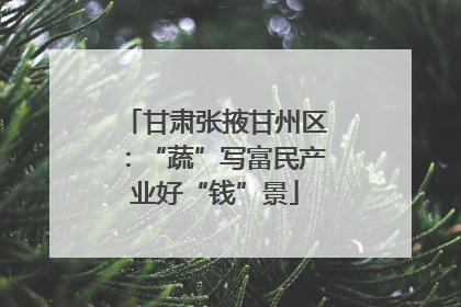 甘肃张掖甘州区：“蔬”写富民产业好“钱”景