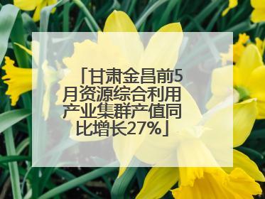 甘肃金昌前5月资源综合利用产业集群产值同比增长27%