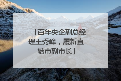 百年央企副总经理王秀峰，履新直辖市副市长