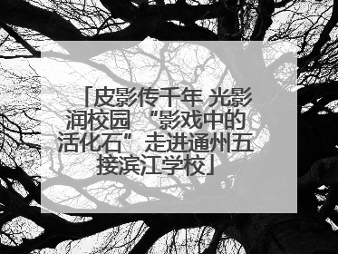 皮影传千年 光影润校园 “影戏中的活化石”走进通州五接滨江学校