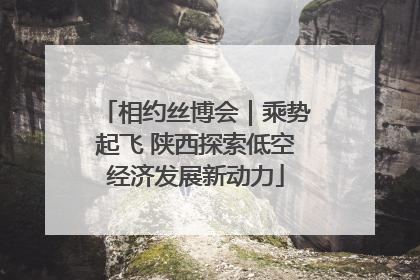 相约丝博会｜乘势起飞 陕西探索低空经济发展新动力