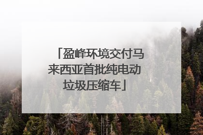 盈峰环境交付马来西亚首批纯电动垃圾压缩车