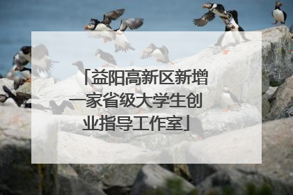益阳高新区新增一家省级大学生创业指导工作室