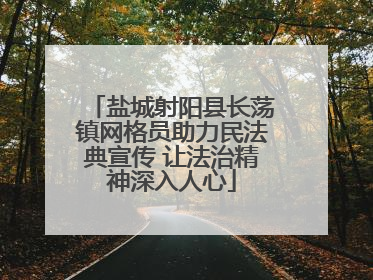 盐城射阳县长荡镇网格员助力民法典宣传 让法治精神深入人心