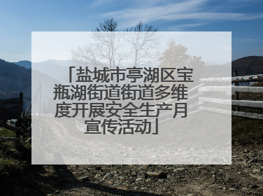 盐城市亭湖区宝瓶湖街道街道多维度开展安全生产月宣传活动