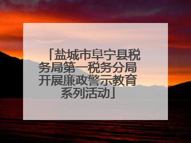 盐城市阜宁县税务局第一税务分局开展廉政警示教育系列活动