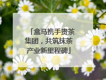 盒马携手贵茶集团，共筑抹茶产业新里程碑