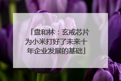 盘和林：玄戒芯片为小米打好了未来十年企业发展的基础