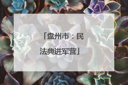 盘州市：民法典进军营