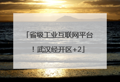 省级工业互联网平台！武汉经开区+2