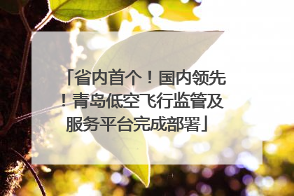 省内首个！国内领先！青岛低空飞行监管及服务平台完成部署