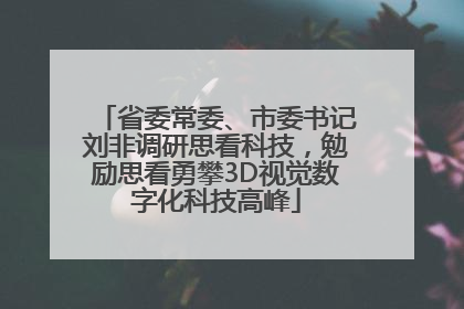 省委常委、市委书记刘非调研思看科技，勉励思看勇攀3D视觉数字化科技高峰