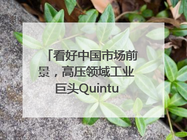 看好中国市场前景，高压领域工业巨头Quintus科技深化本土策略，构建全方位服务亚太区总部