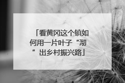 看黄冈这个镇如何用一片叶子“沏”出乡村振兴路
