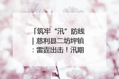筑牢“汛”防线｜慈利县二坊坪镇：雷霆出击！汛期捕鱼被紧急叫停