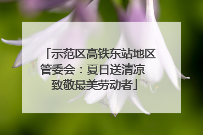 示范区高铁东站地区管委会：夏日送清凉 致敬最美劳动者