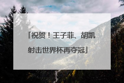 祝贺！王子菲、胡凯射击世界杯再夺冠