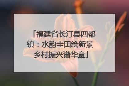 福建省长汀县四都镇：水韵圭田绘新景 乡村振兴谱华章