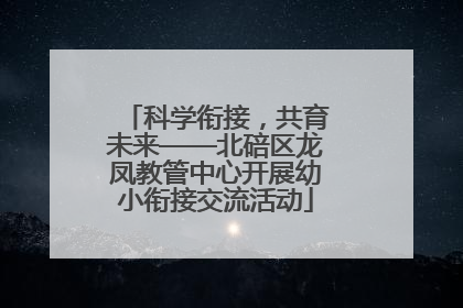 科学衔接，共育未来——北碚区龙凤教管中心开展幼小衔接交流活动