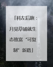 科左后旗：月见草铺就生态致富“可复制”新路