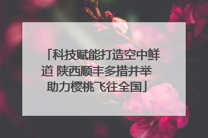 科技赋能打造空中鲜道 陕西顺丰多措并举助力樱桃飞往全国