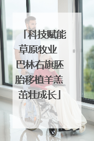 科技赋能草原牧业 巴林右旗胚胎移植羊羔茁壮成长