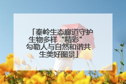 秦岭生态廊道守护生物多样“精彩” 勾勒人与自然和谐共生美好图景