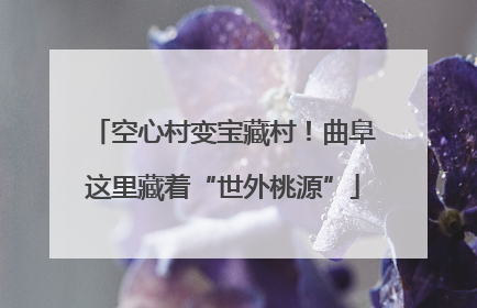 空心村变宝藏村！曲阜这里藏着“世外桃源”