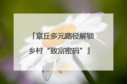 章丘多元路径解锁乡村“致富密码”