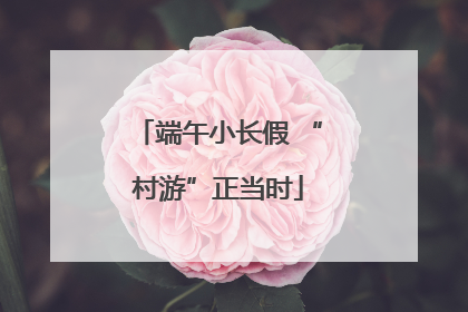 端午小长假 “村游”正当时