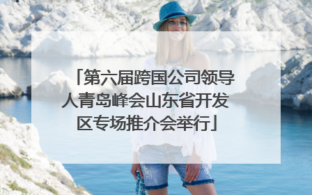 第六届跨国公司领导人青岛峰会山东省开发区专场推介会举行