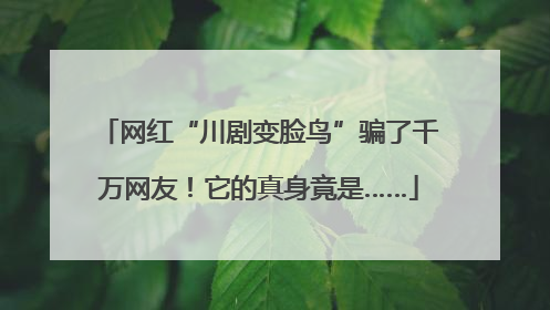 网红“川剧变脸鸟”骗了千万网友！它的真身竟是……