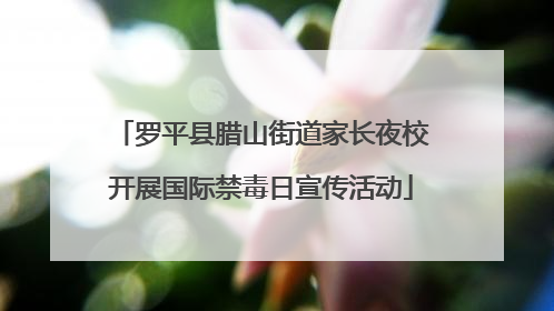 罗平县腊山街道家长夜校开展国际禁毒日宣传活动