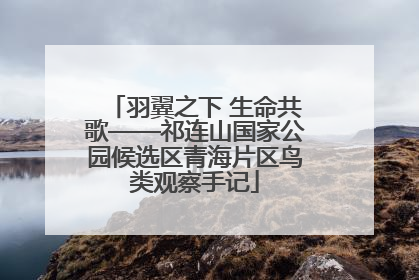 羽翼之下 生命共歌——祁连山国家公园候选区青海片区鸟类观察手记