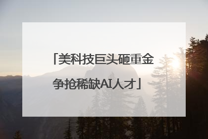 美科技巨头砸重金争抢稀缺AI人才