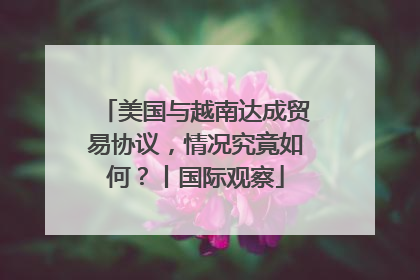 美国与越南达成贸易协议，情况究竟如何？丨国际观察