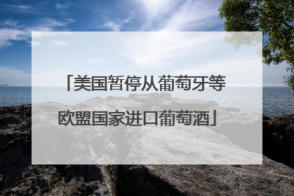 美国暂停从葡萄牙等欧盟国家进口葡萄酒