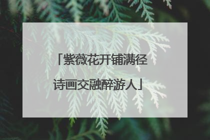 紫薇花开铺满径 诗画交融醉游人