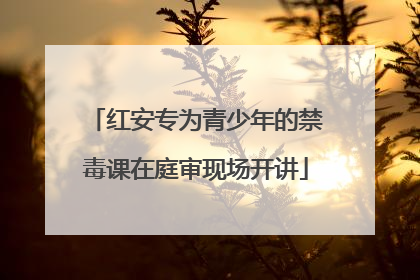 红安专为青少年的禁毒课在庭审现场开讲