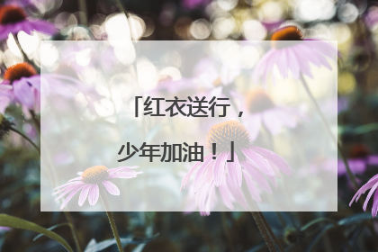 红衣送行，少年加油！