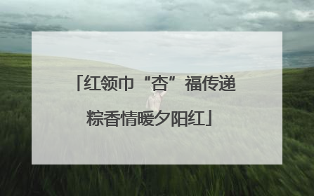 红领巾“杏”福传递 粽香情暖夕阳红