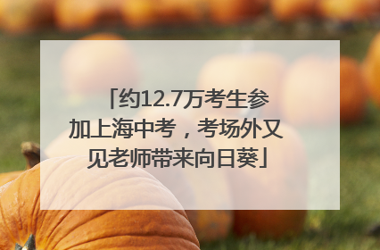 约12.7万考生参加上海中考，考场外又见老师带来向日葵