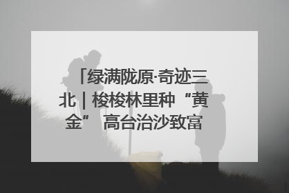 绿满陇原·奇迹三北｜梭梭林里种“黄金” 高台治沙致富很“从容”
